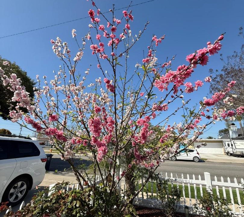 Photo of Outdoor in Huntington Beach