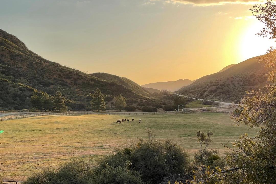 Photo of Others in Ojai