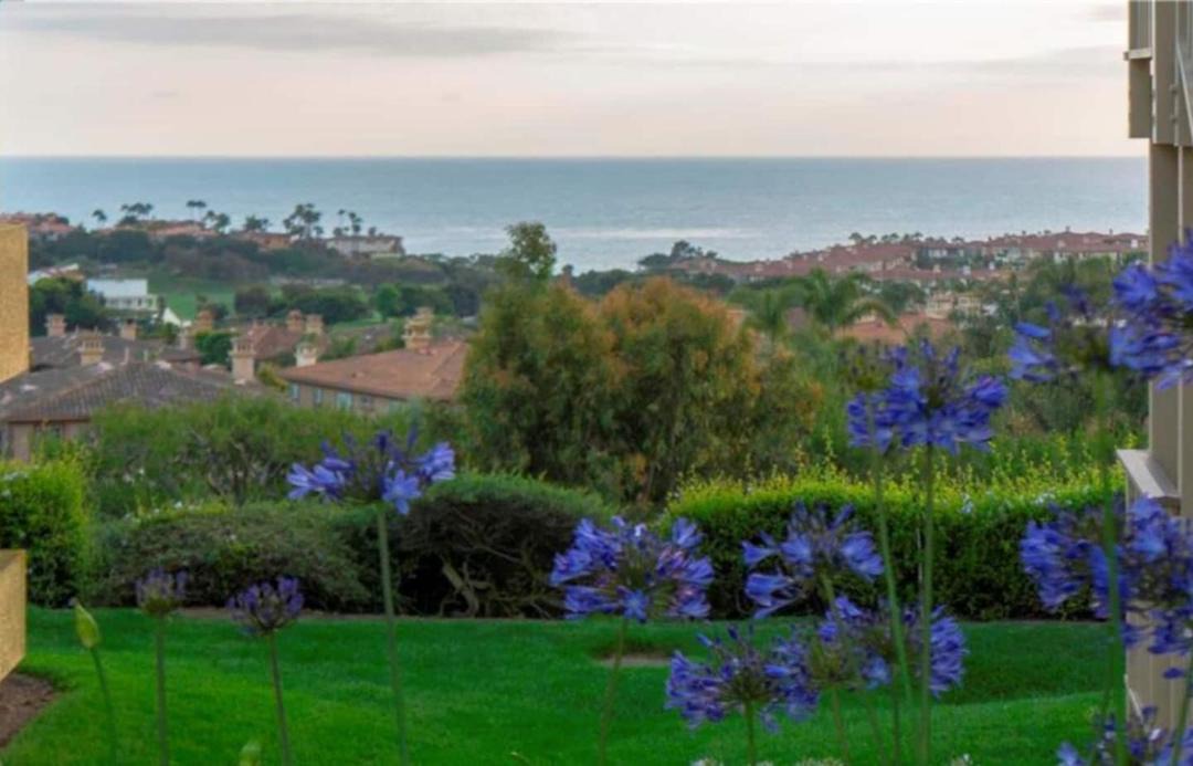 Photo of Others in Monarch Beach