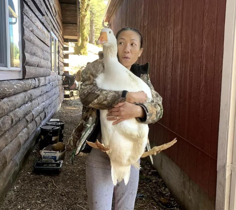 Photo of Others in Los Gatos