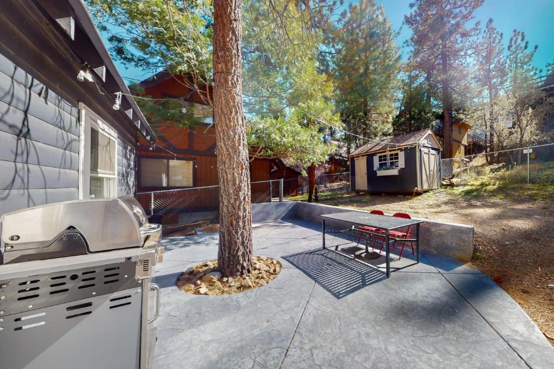 Photo of Others in Big Bear City