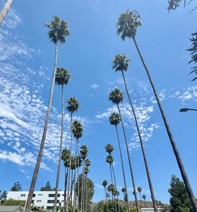 Photo of Others in Hollywood