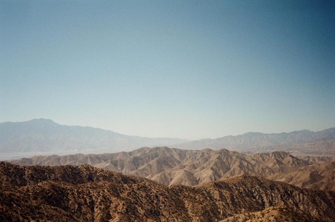 Photo of Others in Wonder Valley