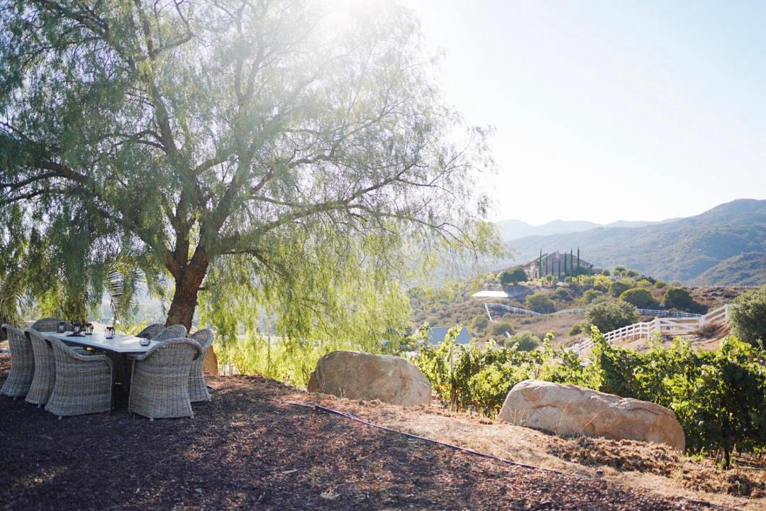 Photo of Others in Murrieta