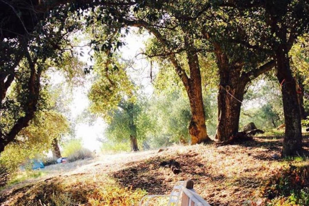 Photo of Others in Pauma Valley