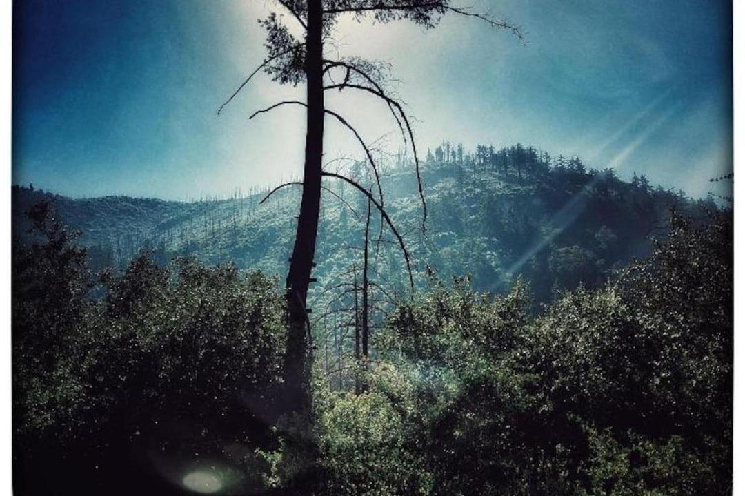 Photo of Others in Pauma Valley