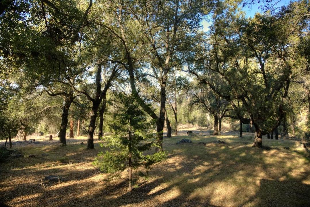 Photo of Others in Pauma Valley