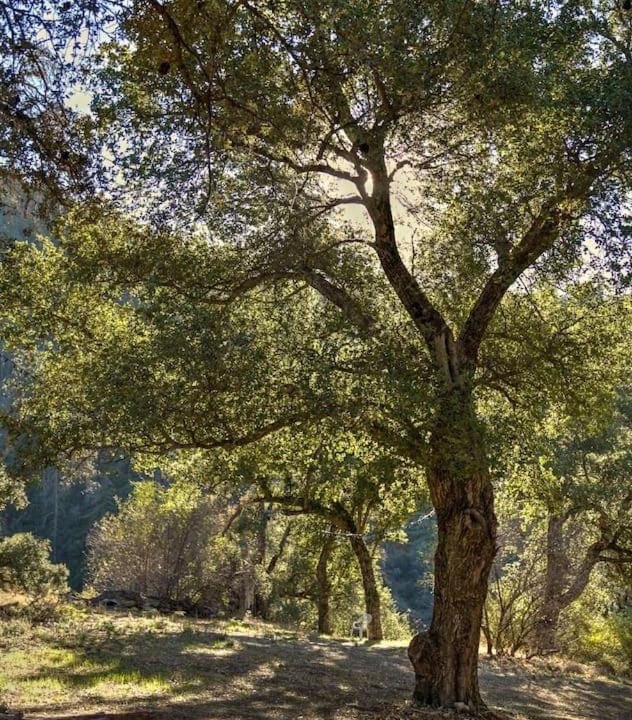 Photo of Others in Pauma Valley