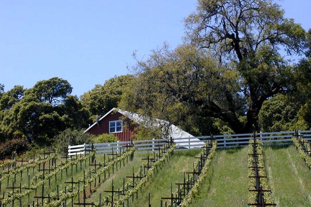 Photo of Others in Hopland