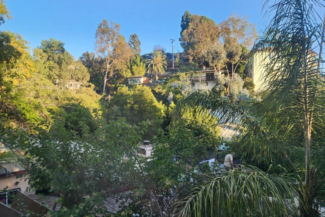 Photo of Others in Hollywood Hills