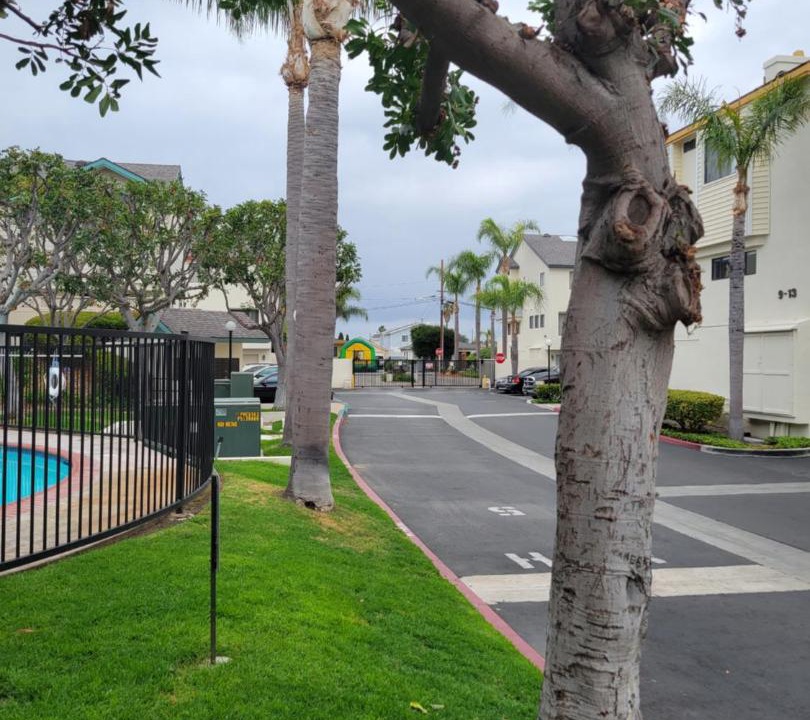 Photo of Others in Lawndale