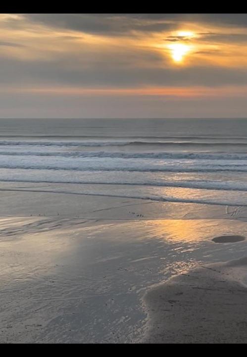 Photo of Others in Bude