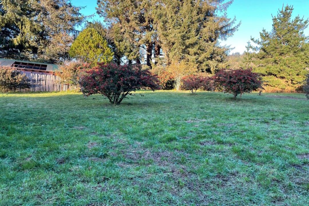 Photo of Outdoor in Smith River