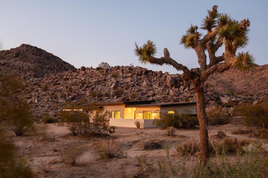 Photo of Others in Joshua Tree