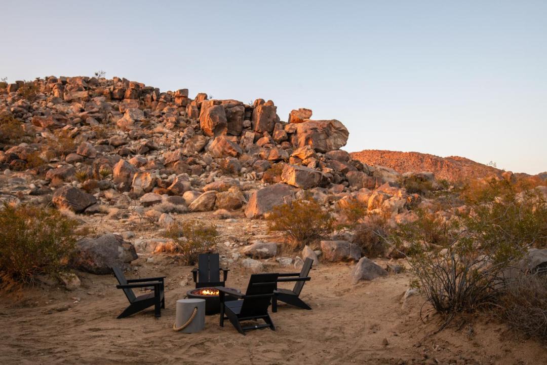 Photo of Others in Joshua Tree