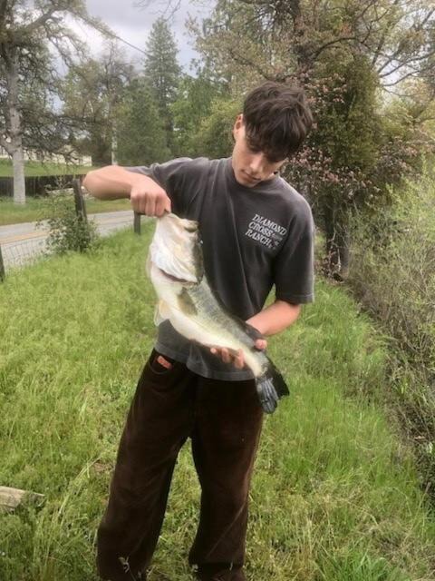 Photo of Others in Oakhurst