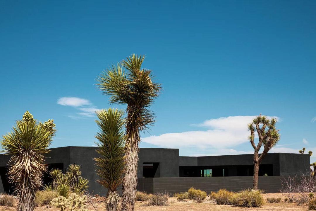 Photo of Others in Yucca Valley