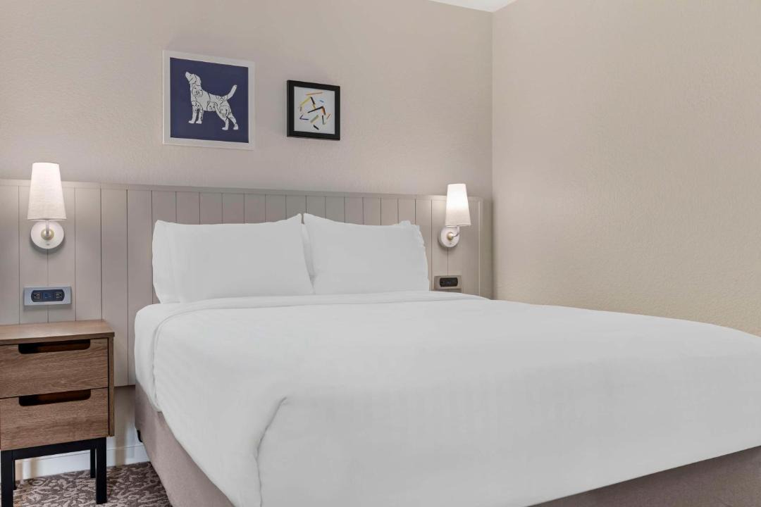 Photo of Bedroom in Torrance