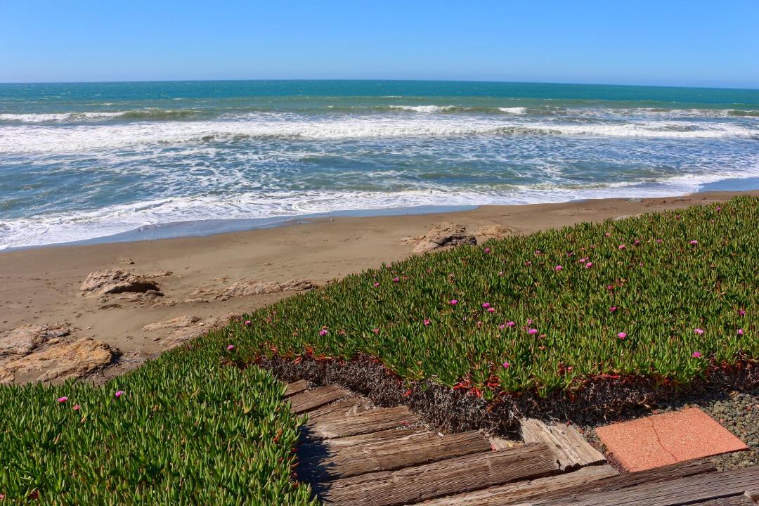 Photo of Others in San Simeon