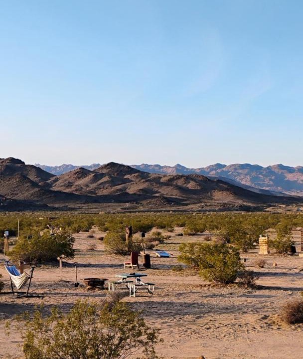 Photo of Others in Joshua Tree