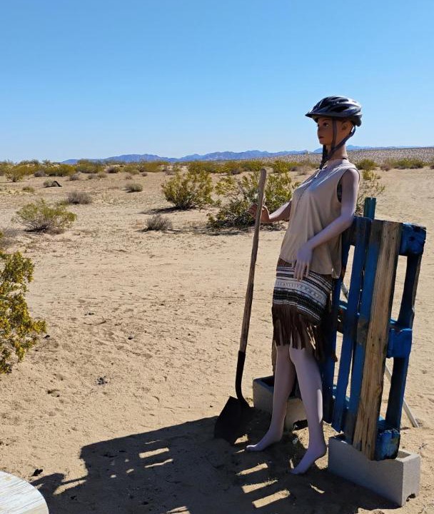Photo of Others in Joshua Tree
