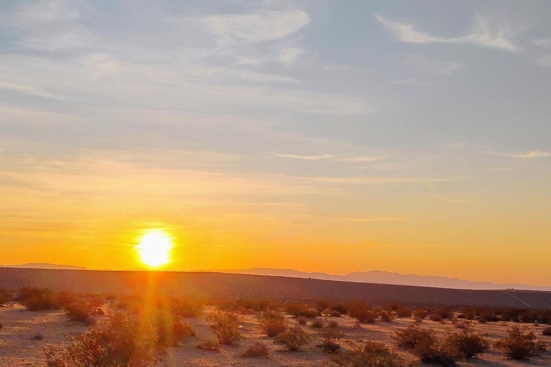 Photo of Others in Joshua Tree