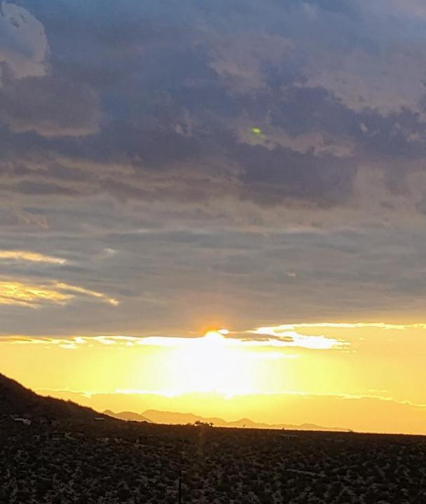 Photo of Others in Joshua Tree