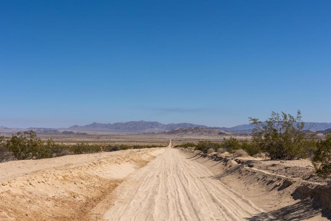 Photo of Others in Wonder Valley