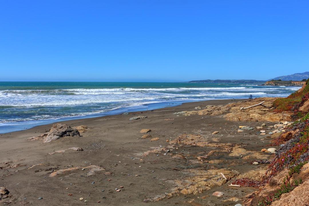 Photo of Others in San Simeon