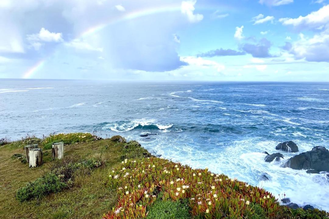 Photo of Others in Stewarts Point