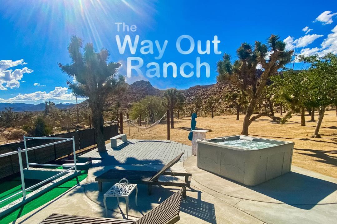 Photo of Others in Joshua Tree
