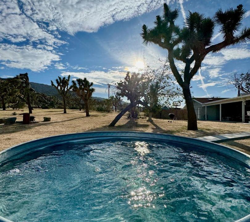 Photo of Others in Joshua Tree