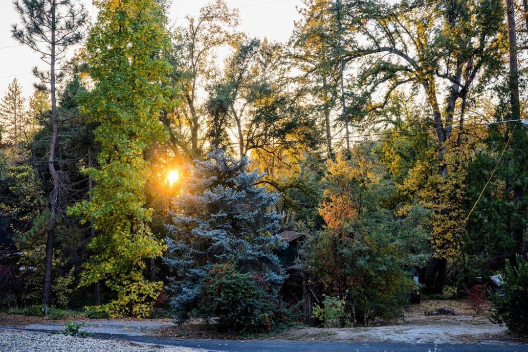 Photo of Others in Yosemite Forks
