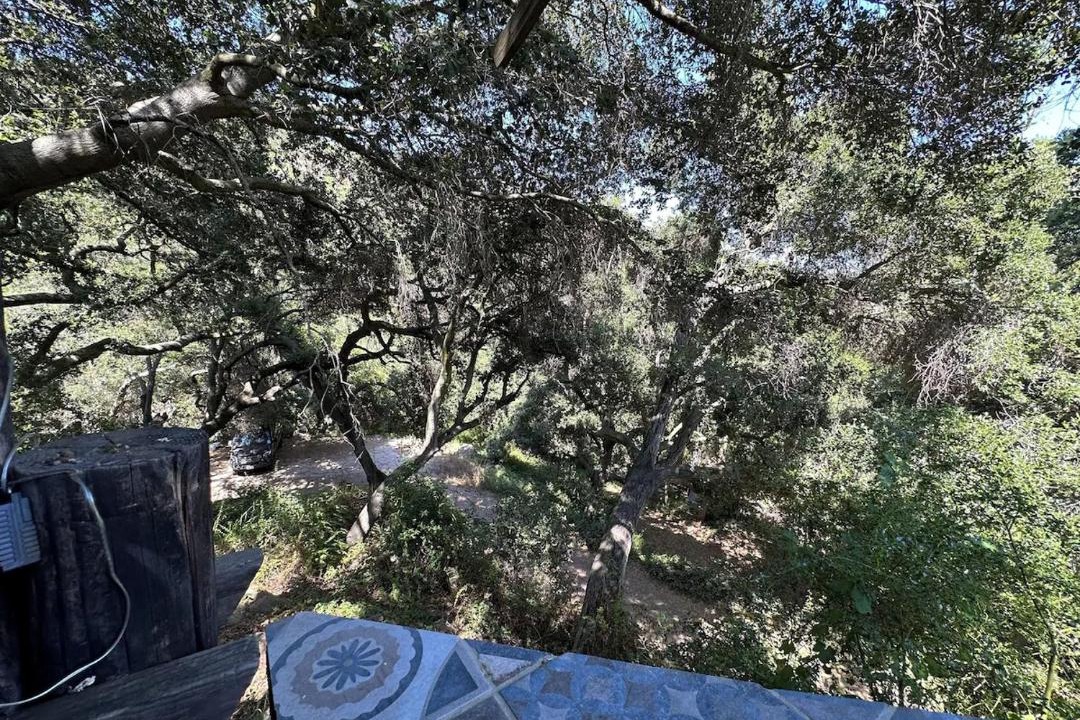 Photo of Others in Topanga