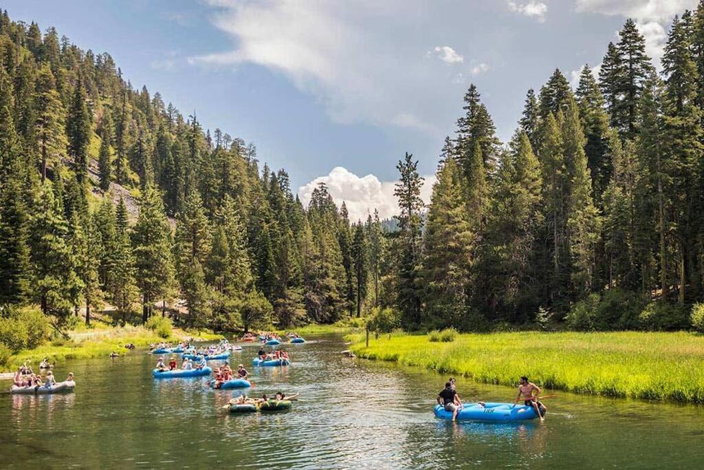 Photo of Others in Alpine Meadows