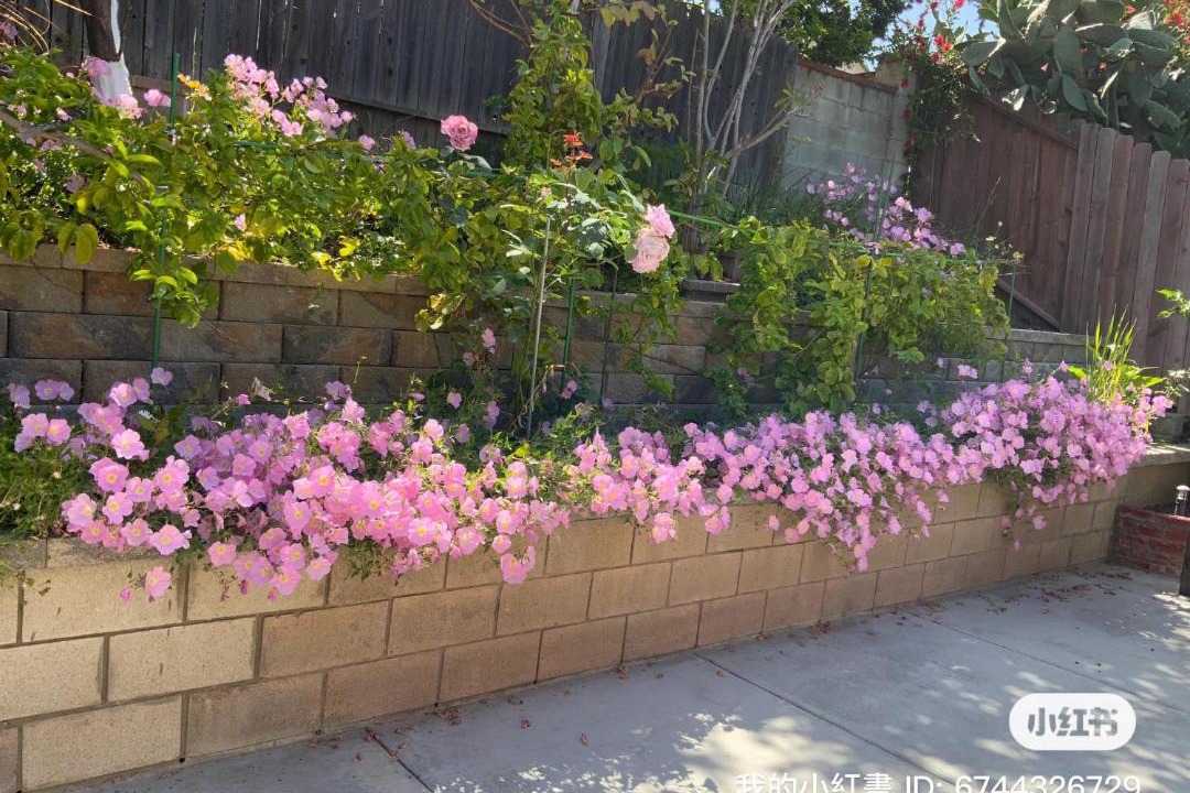 Photo of Outdoor in Rowland Heights