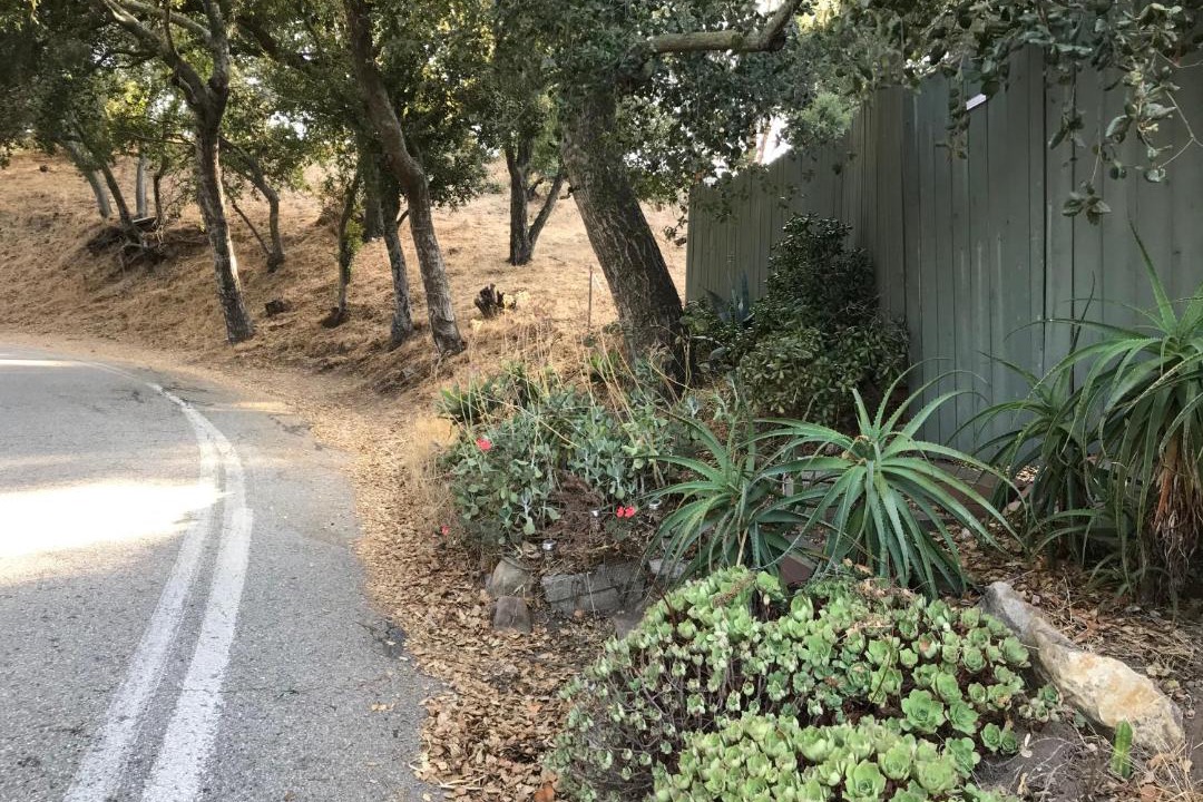 Photo of Outdoor in Fernwood