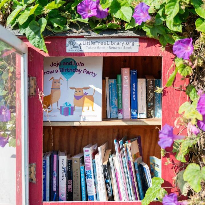 Photo of Others in Solana Beach