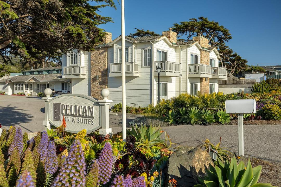 Photo of Others in San Simeon
