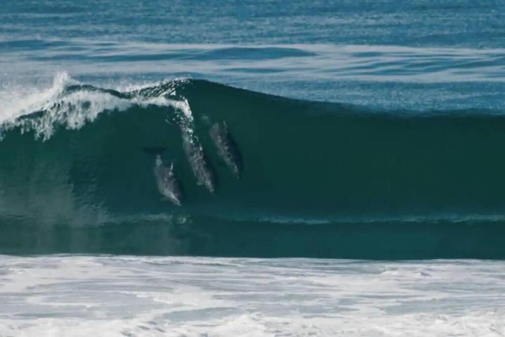 Photo of Others in Spring Valley
