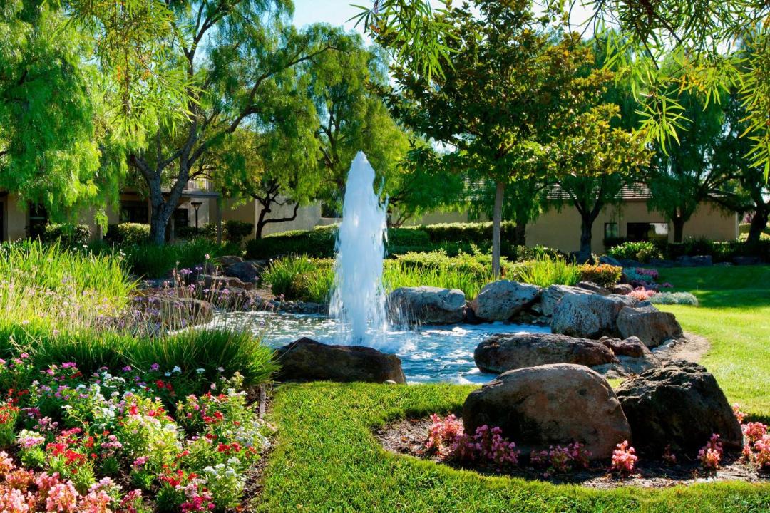 Photo of Others in Pleasanton