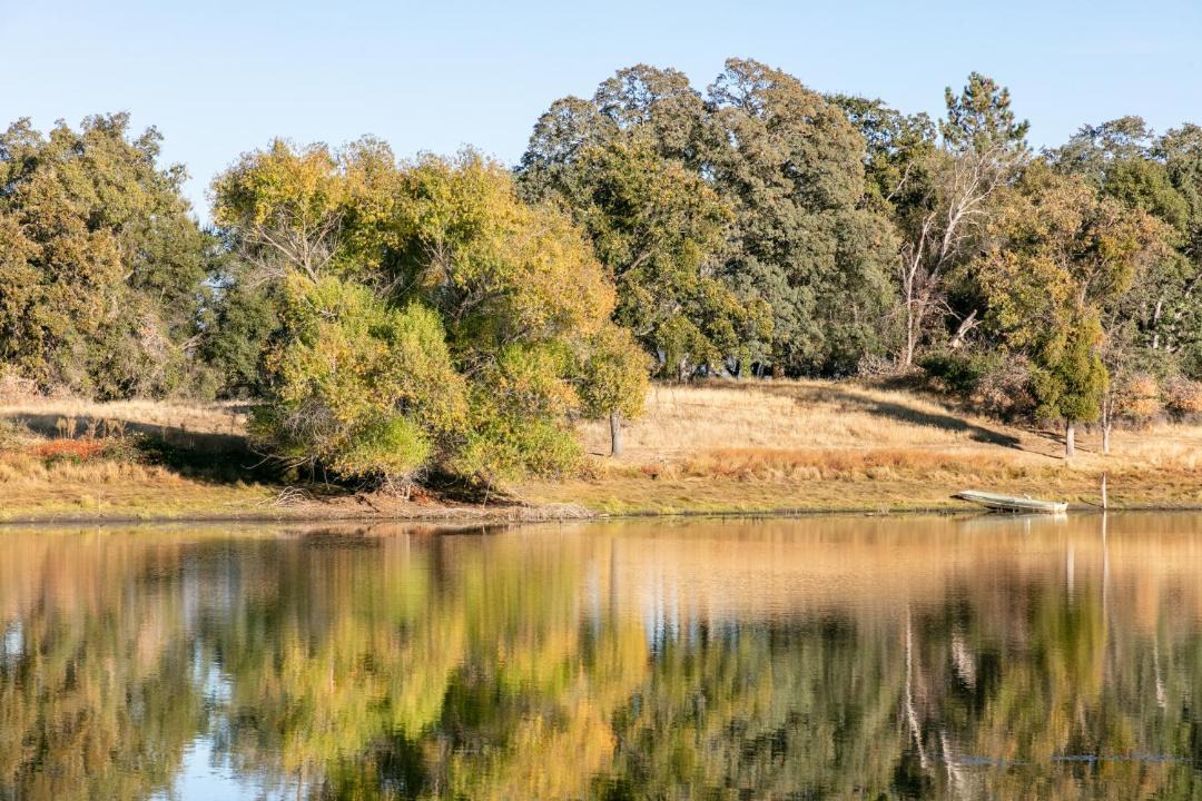 Photo of Others in Mariposa
