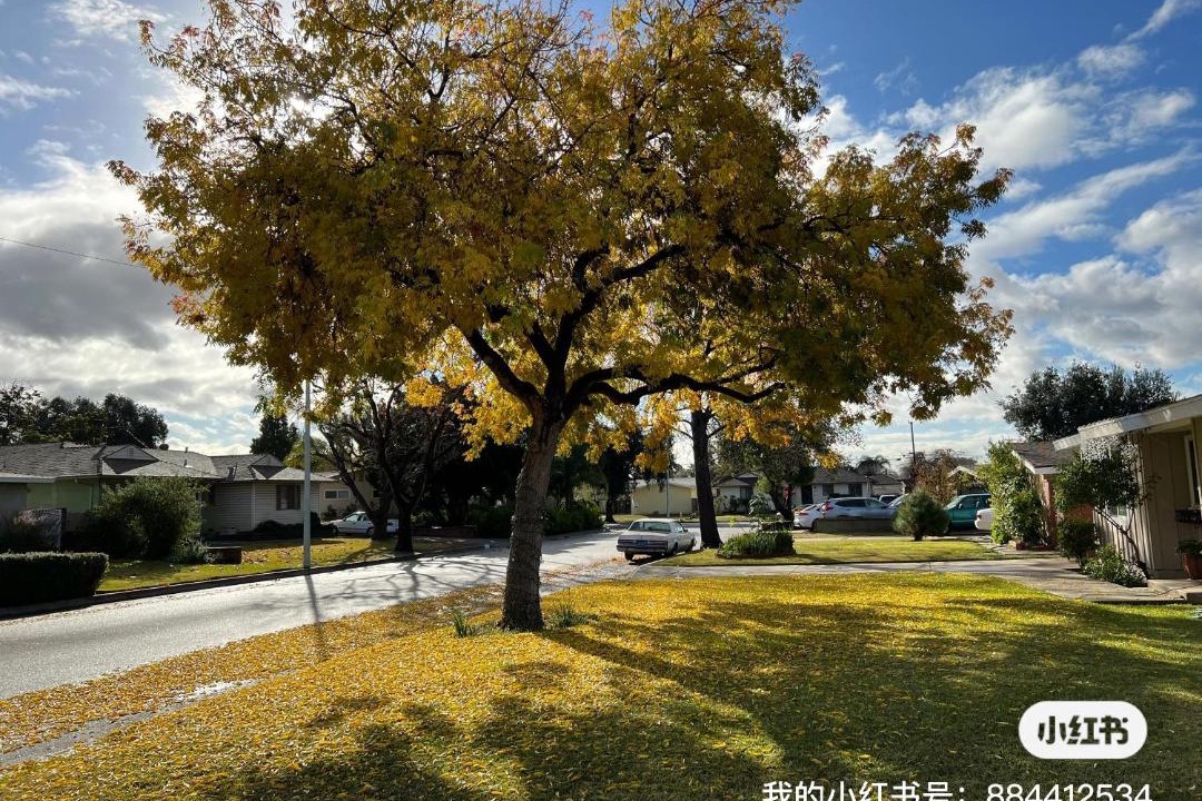 Photo of Outdoor in Walnut Valley