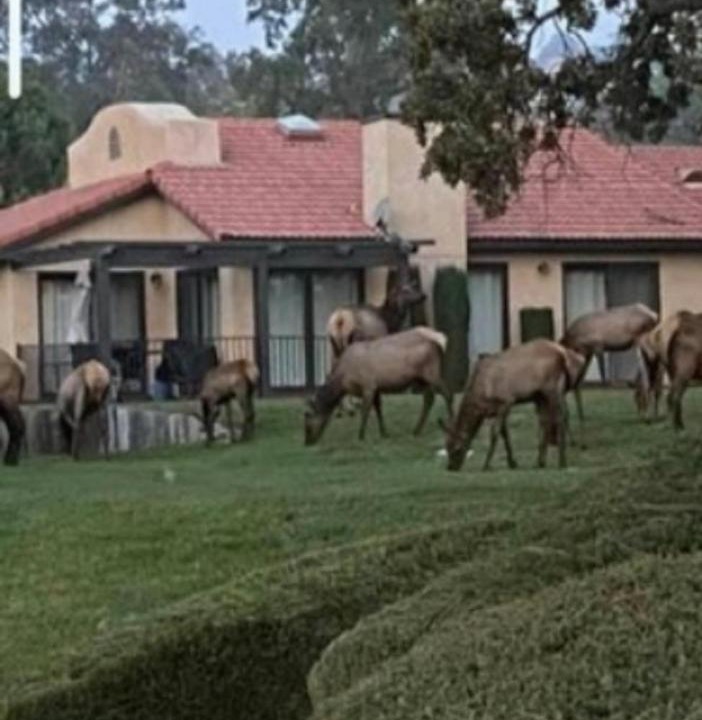 Photo of Others in Stallion Springs