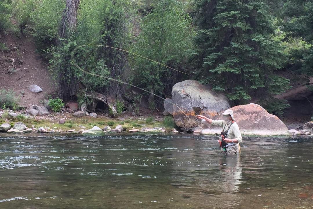 Photo of Others in Willow Creek