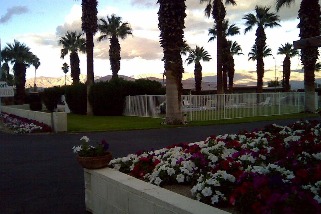 Photo of Others in Borrego Springs