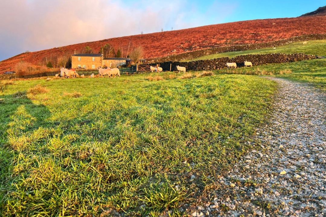 Photo of Others in Embsay