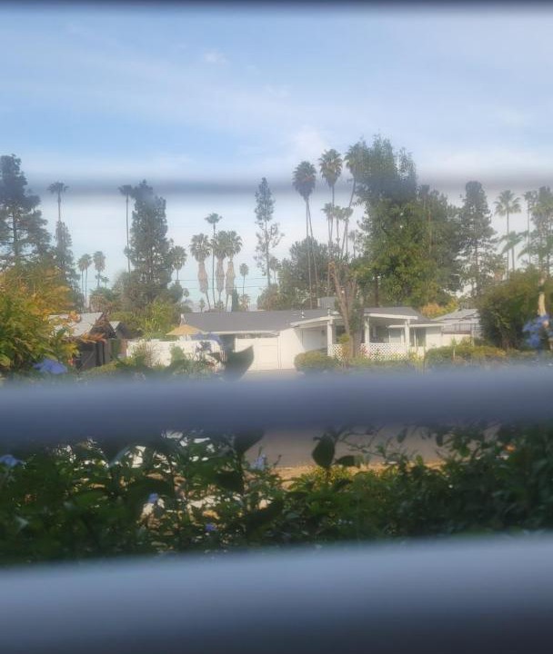 Photo of Others in Woodland Hills