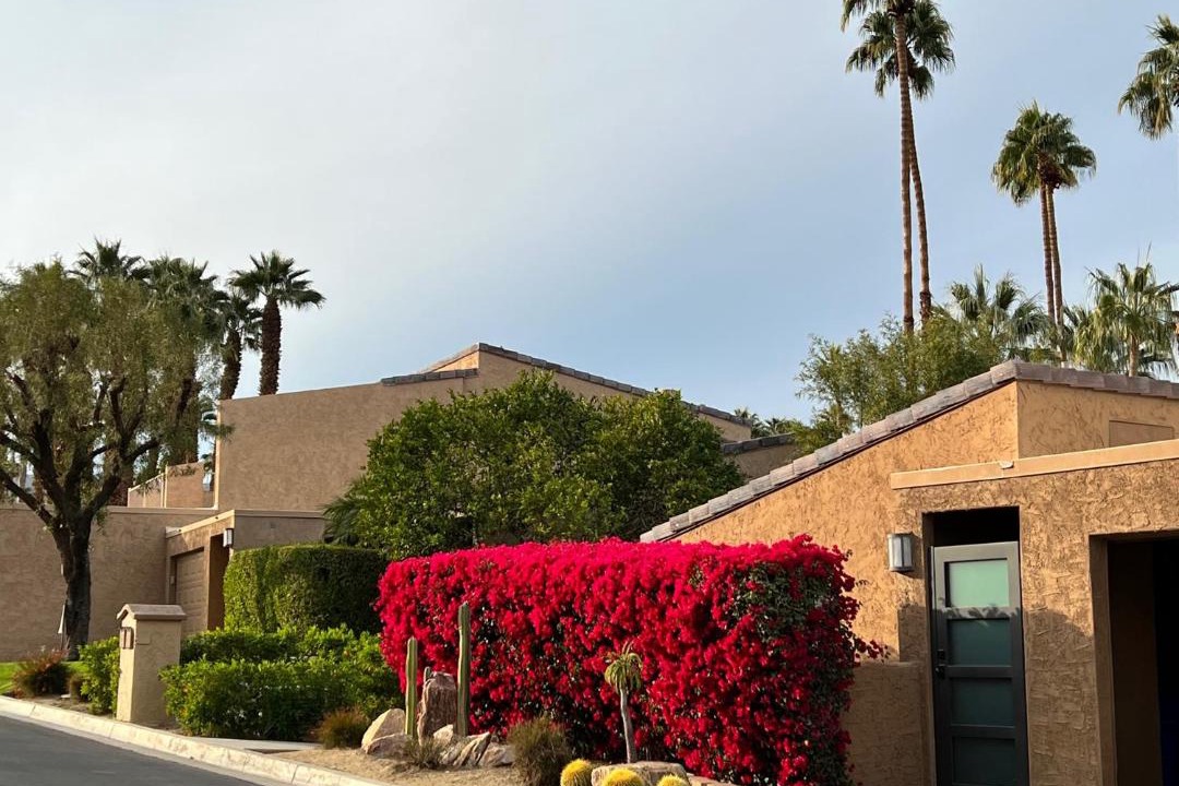 Photo of Others in Palm Desert