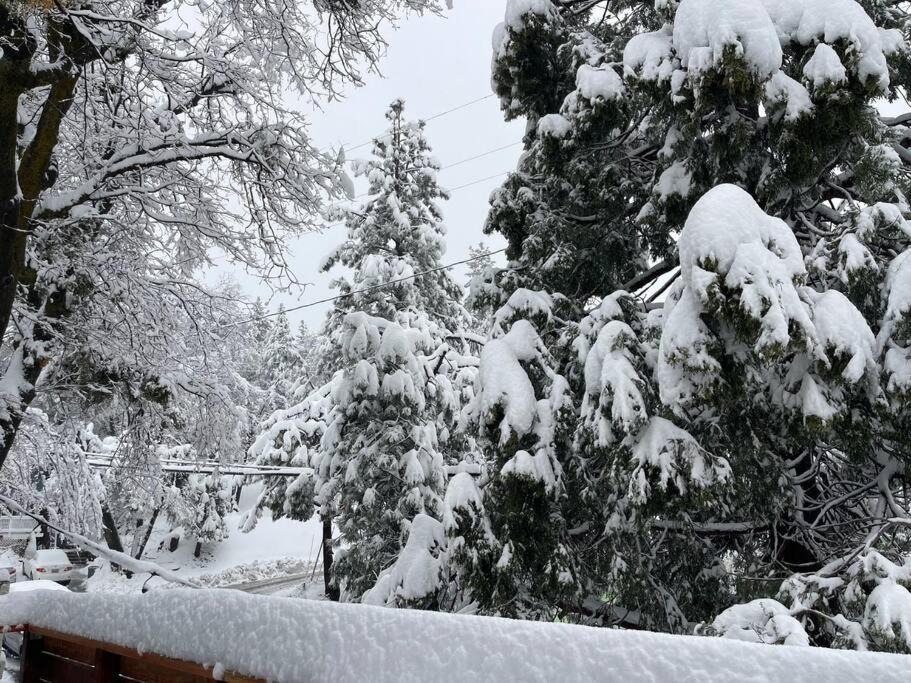 Photo of Others in Arrowbear Lake